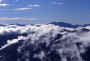 campbieil13.JPG (42041 octets)